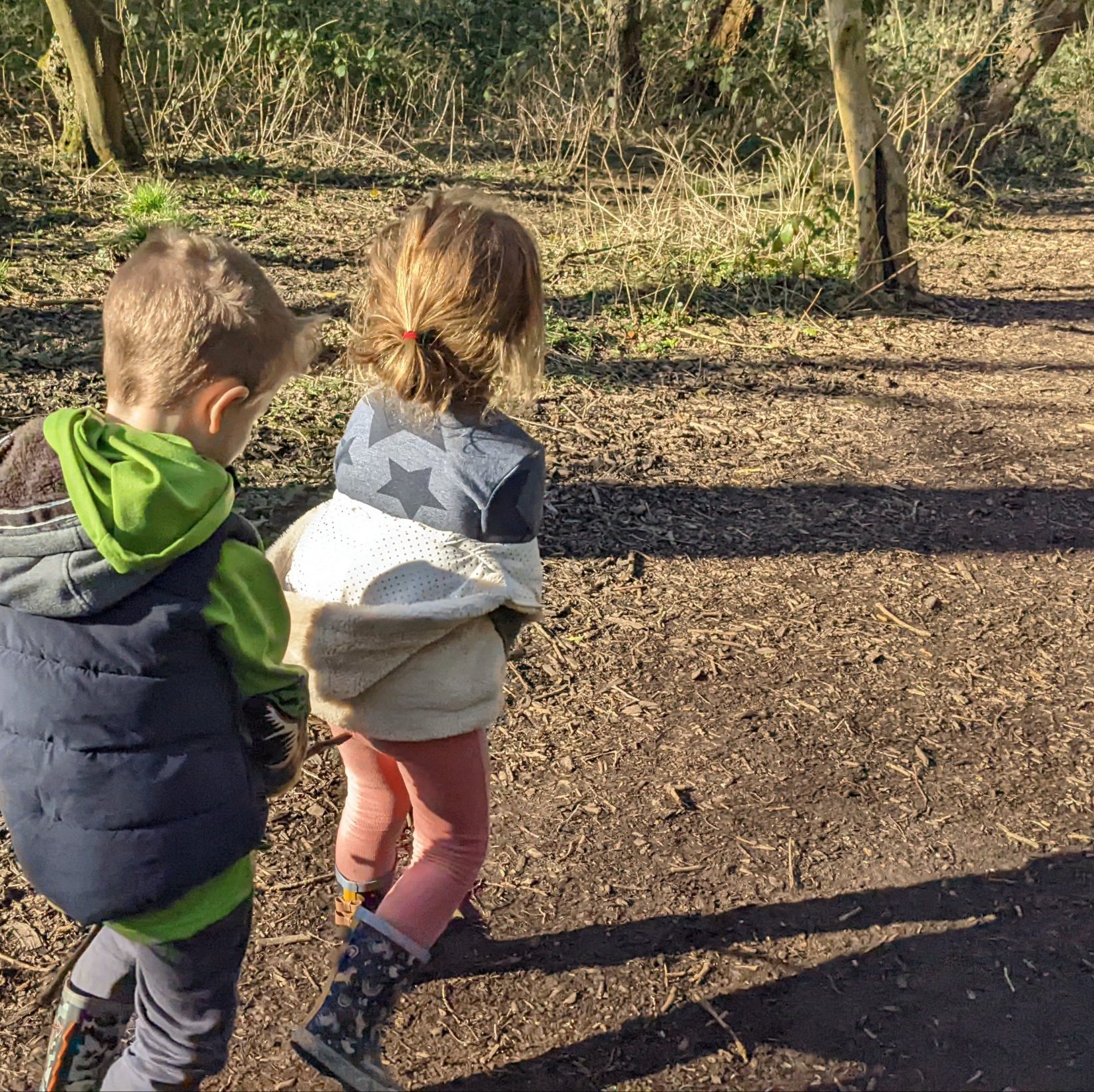 An Outdoor Family Walk in nature. Two children waling through a woodland. 